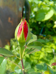 Similar image 22222524