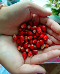 Similar image 22222525