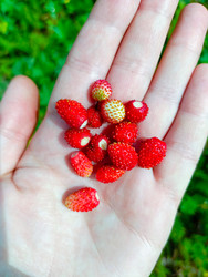 Similar image 22222526