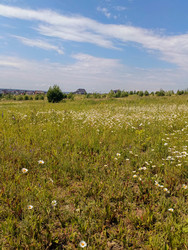 Similar image 22222527