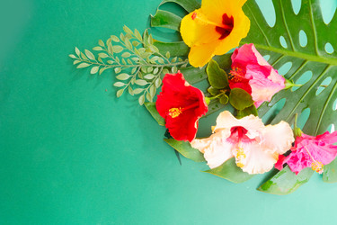 Similar image 22232745