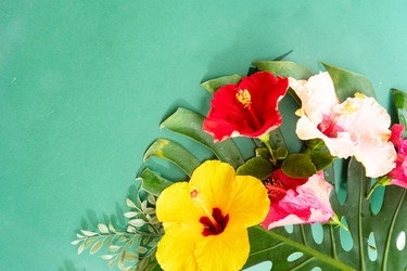 Similar image 22232746