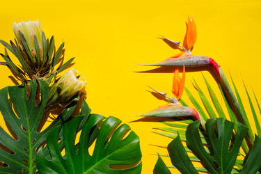 Similar image 22232398