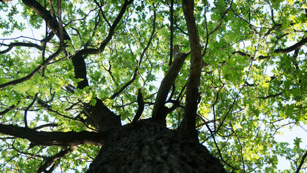 Similar image 22218351