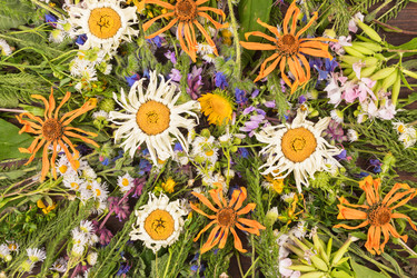 Similar image 22218352