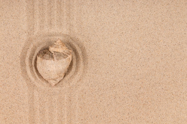 Similar image 22218370