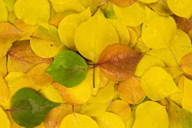 Similar image 22218374