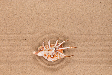 Similar image 22218375