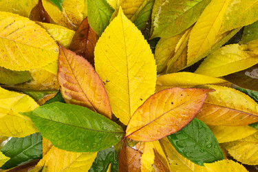 Similar image 22218376