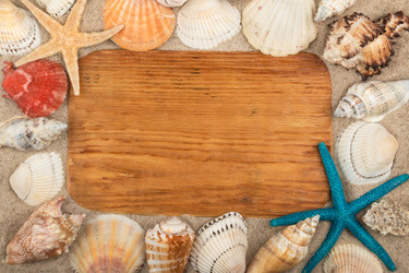 Similar image 22218378