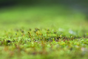 Similar image 22218400