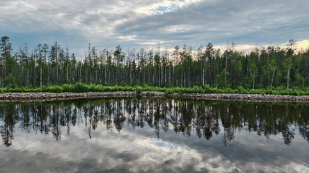 Similar image 22210705