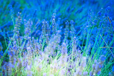 Similar image 22232583