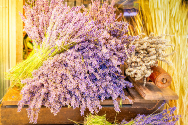 Similar image 22232589