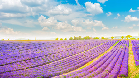 Similar image 22232663