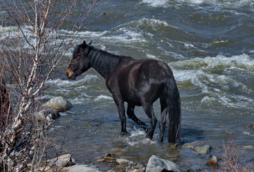 Similar image 22224223