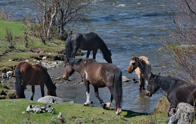 Similar image 22224225