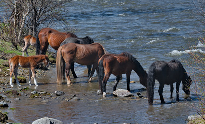 Similar image 22224227