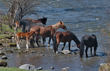 Similar image 22224228