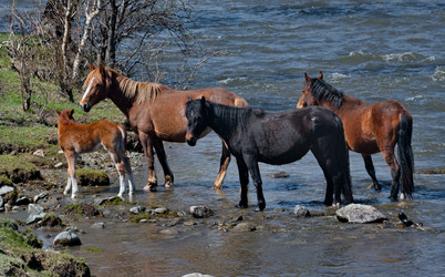 Similar image 22224229