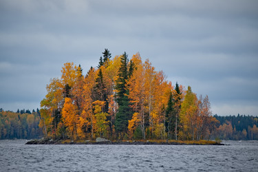 Similar image 22211036