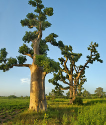 Similar image 22222801