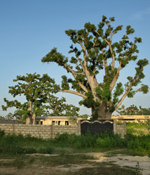 Similar image 22222802