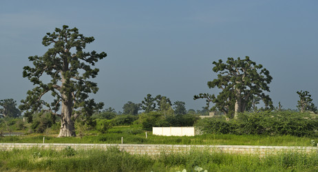 Similar image 22222803