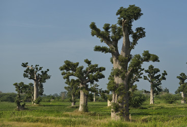 Similar image 22222805