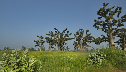 Similar image 22222806