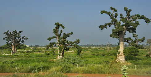 Similar image 22222807