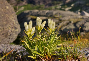 Similar image 22211040