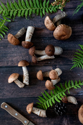 Similar image 22211276