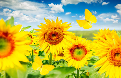 Similar image 22232599