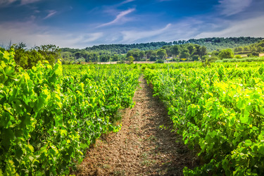 Similar image 22232600