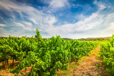 Similar image 22232669