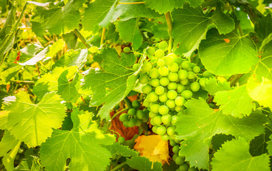 Similar image 22232670