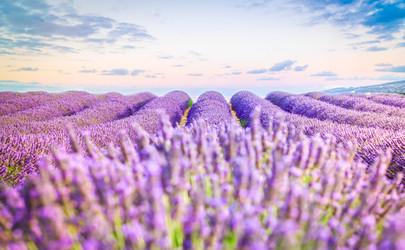 Similar image 22232674