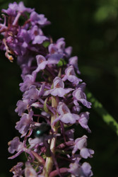 Similar image 22211407