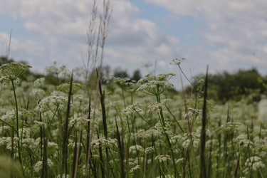 Similar image 22211408