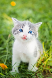 Similar image 22225394