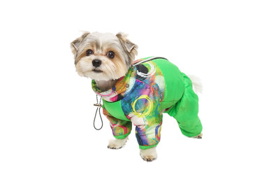 Similar image 22225395