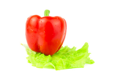 Similar image 22225399