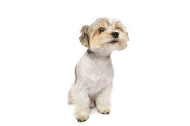 Similar image 22225400