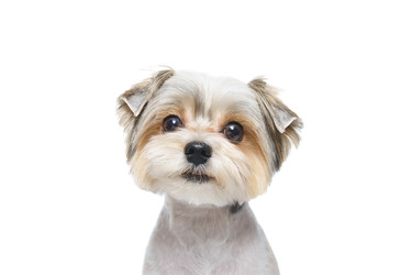 Similar image 22225401