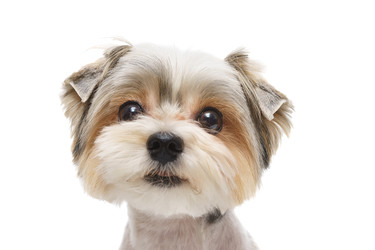 Similar image 22225402