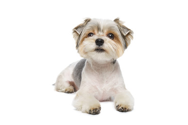 Similar image 22225404