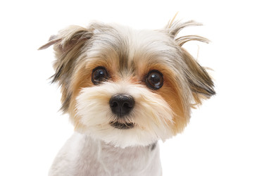 Similar image 22225405