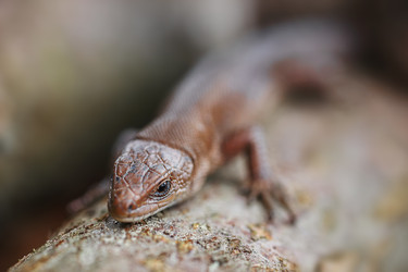 Similar image 22225406