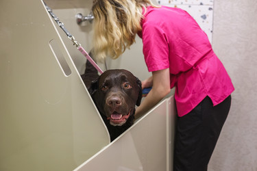 Similar image 22225407